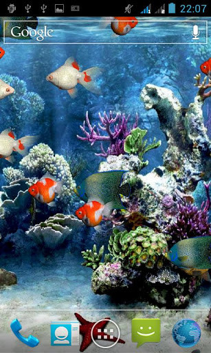 aquarium screensaver